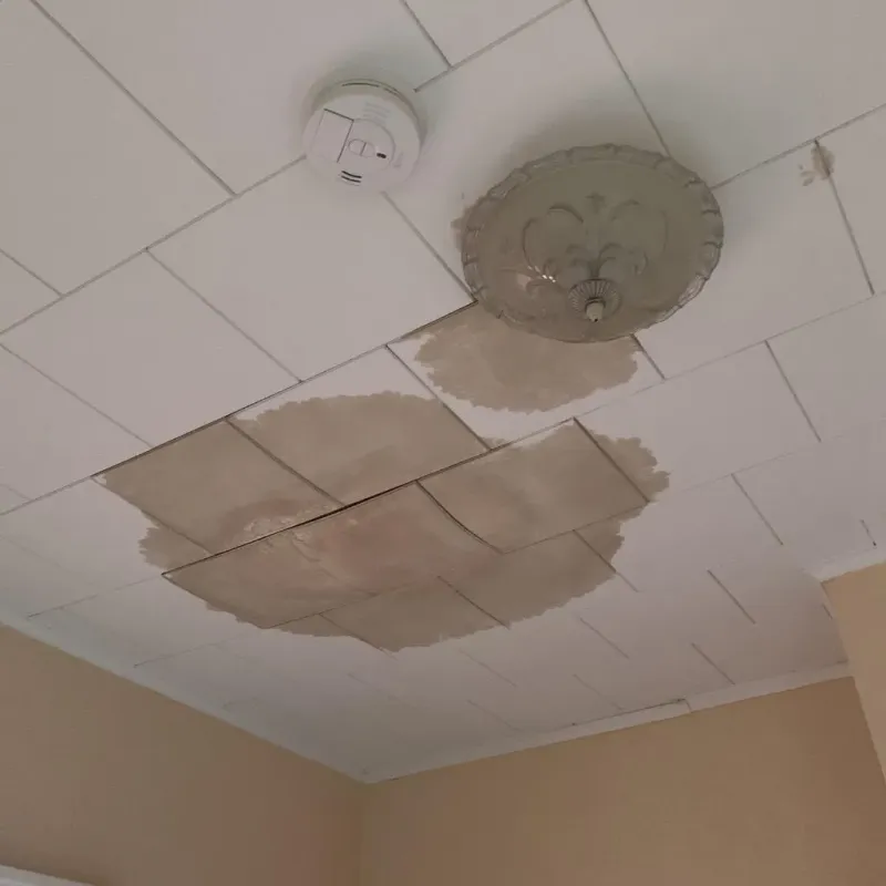 Ceiling Water Damage Repair in Newbern, TN