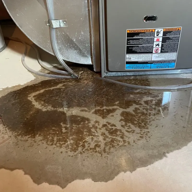 Pipe Burst and Leak Restoration in Newbern, TN