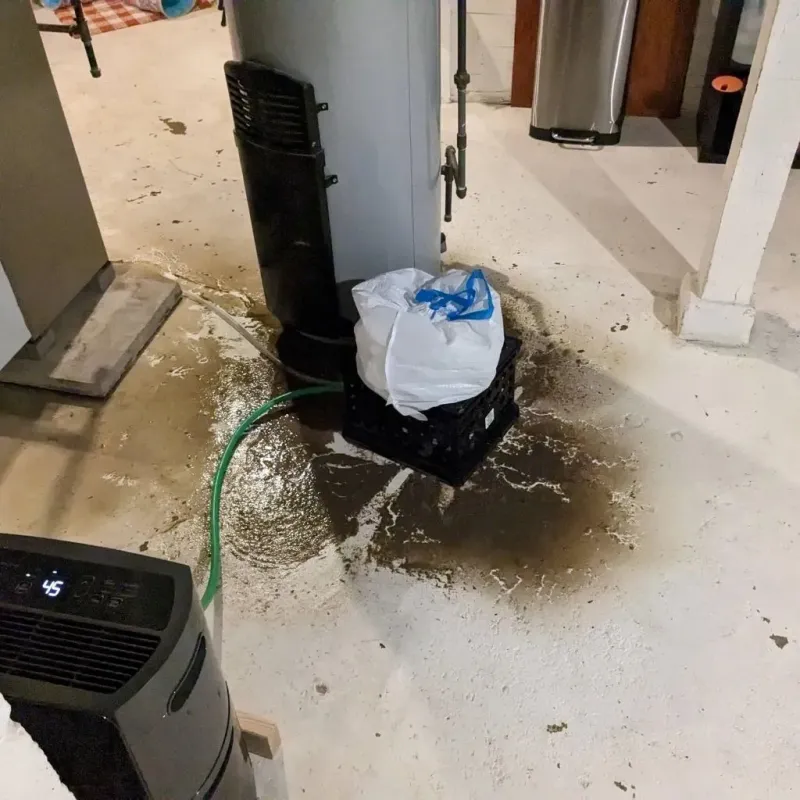 Sewage Backup Cleanup Service in Newbern, TN